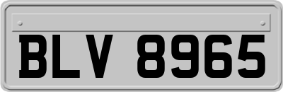 BLV8965