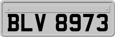 BLV8973