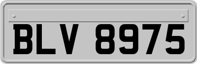 BLV8975