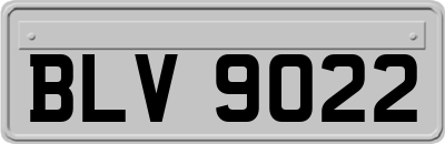 BLV9022