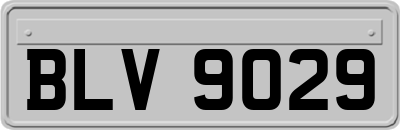 BLV9029