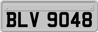 BLV9048