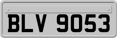 BLV9053