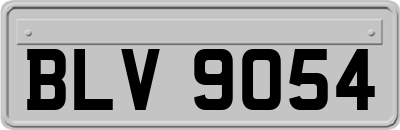 BLV9054
