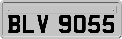 BLV9055