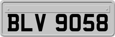 BLV9058