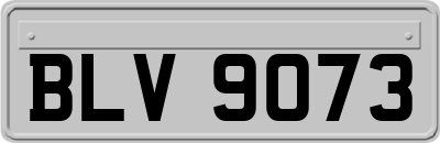 BLV9073
