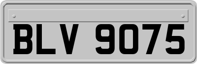 BLV9075