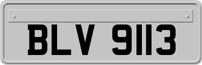 BLV9113