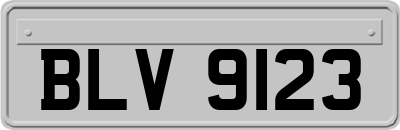 BLV9123