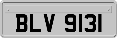 BLV9131
