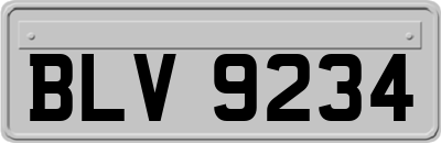 BLV9234