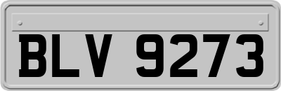 BLV9273