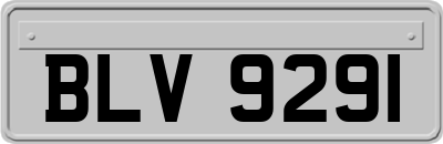 BLV9291