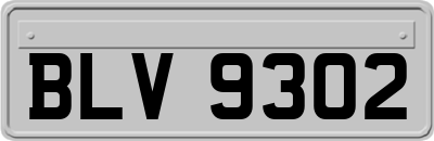 BLV9302