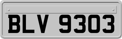 BLV9303