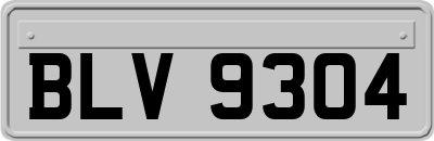 BLV9304
