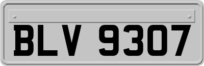 BLV9307