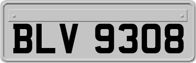 BLV9308