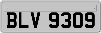 BLV9309