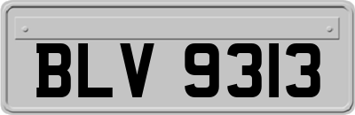 BLV9313