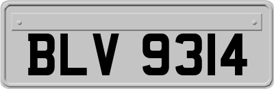 BLV9314
