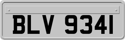 BLV9341