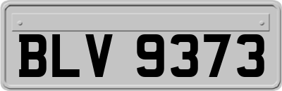 BLV9373