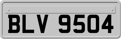 BLV9504