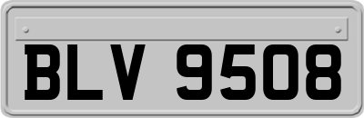 BLV9508