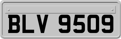 BLV9509
