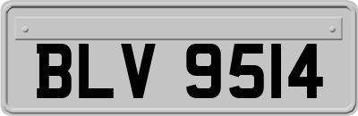 BLV9514