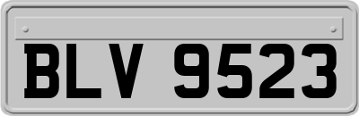 BLV9523
