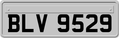 BLV9529
