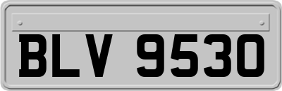 BLV9530