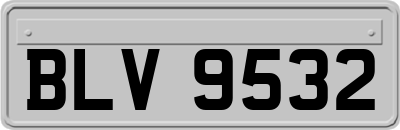 BLV9532
