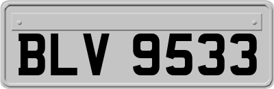 BLV9533