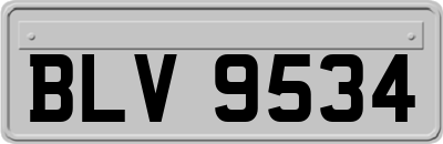 BLV9534