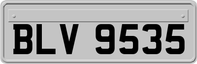 BLV9535