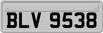 BLV9538