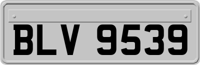 BLV9539