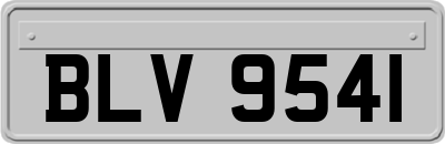 BLV9541