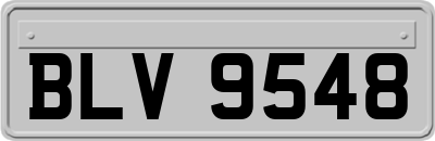 BLV9548