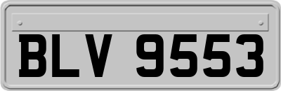 BLV9553