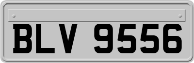 BLV9556