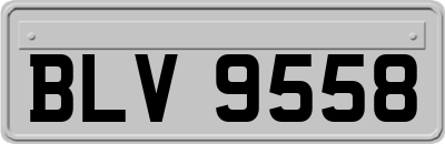 BLV9558