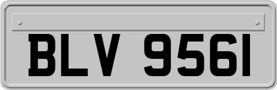 BLV9561