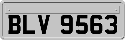 BLV9563