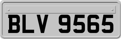 BLV9565