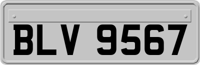 BLV9567